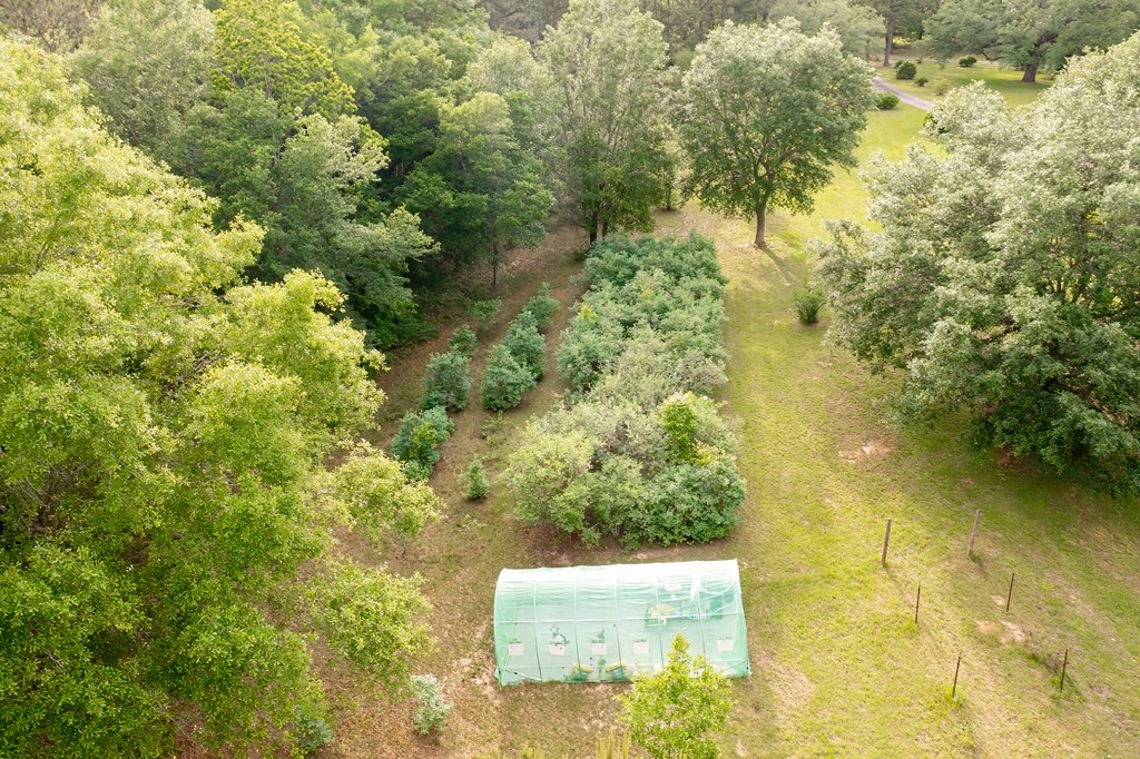 Aerial View of Land